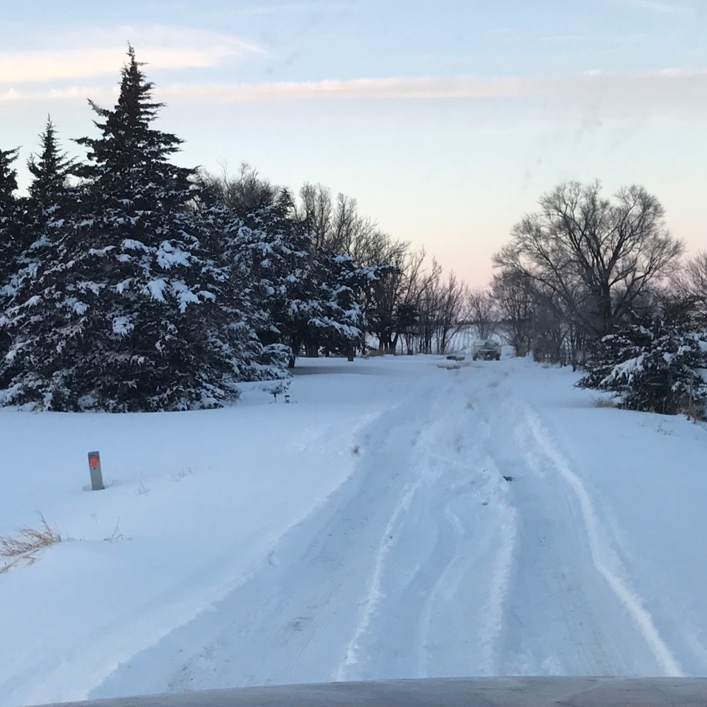 Meet your Posher, Delia